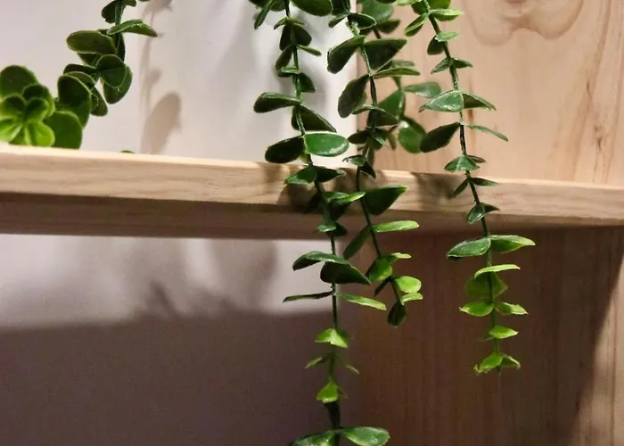 Eskinakoetxe - Tourist For Groups In Urdaibai Nyaraló Rigoitia